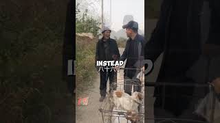 82 An 86yearold man treats a dog better than himself humanity kindnessinaction facts kindness [upl. by Einahc]