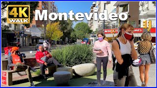 【4K】WALK Pocitos MONTEVIDEO Uruguay 4k video UY Travel vlog [upl. by Cotter]