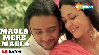 Maula Mere Maula  4K Video  Anwar  Siddharth Koirala Nauheed Cyrusi  Romantic Song filmigaane [upl. by Hwu]