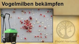 Hühnerstall  Milben mit Dampf bekämpfen  Vogelmilben im Stall ohne Gift loswerden  Unkrautfuchs [upl. by Binny]