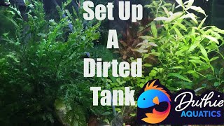 Dirted Aquarium For The Beginner [upl. by Okorih]