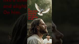 Bible verse of da day Matthew 31617 Hawaiʻi pidgin Bible DaJesusBook greenscreen HolySpirit [upl. by Myrle]