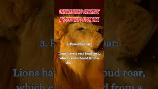 Interesting Secrets About Wild Lion Life [upl. by Anilatsyrc]