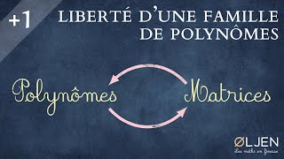 UT10 Liberté dune famille de polynômes Exemple [upl. by Einimod]