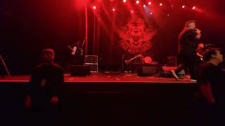 Dropkick Murphys  Rose Tattoo live  The Forum November 2024 [upl. by Tracey]