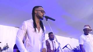 Best of Flavour Nabania with Live Band 2017 [upl. by Dante]