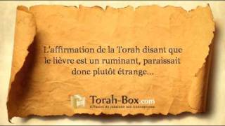 Paracha Chemini  Torah amp Rayons X  TorahBox [upl. by Swain]