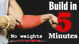 5 minutes intense forearm home workout  without weights  dedicos fitness [upl. by Bores664]