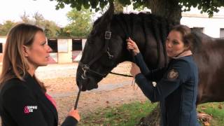 Tresser son cheval sans stresser   Equidia Life [upl. by Novaj]