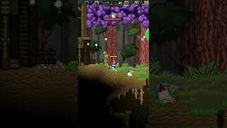 ALVEJADOS POR UM COGUMELO BIZONHO  Starbound [upl. by Esil]