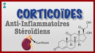 Questce quun Corticoïde  Antiinflamatoires Stéroidïens [upl. by Drummond]