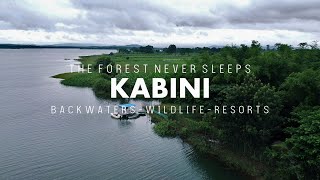 24 Hours in Kabini  Red Earth Kabini  Kabini Backwaters  Kabini Wildlife [upl. by Lunseth596]