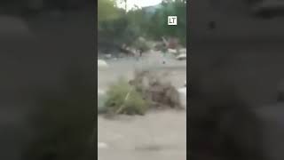 Mujer empuja al río a un adulto mayor reclamando que era propiedad privada [upl. by Kcira554]