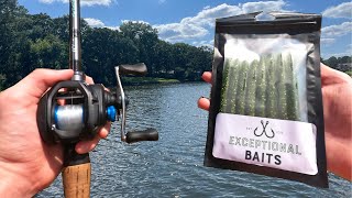 FISHING With The BEST Summer Baits Bank Fishing [upl. by Nashner795]