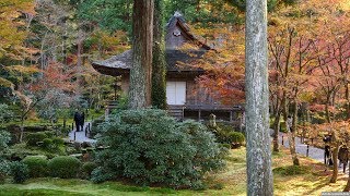 JG 4K HDR 京都 三千院の紅葉 Kyoto Sanzenin [upl. by Elleoj795]