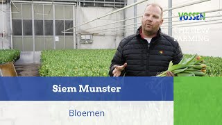 Siem Munster  Tulpenkwekerij  Plant Care [upl. by Estel]