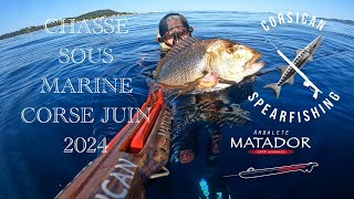 CHASSE SOUS MARINE CORSE JUIN 2024 [upl. by Procto]