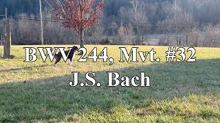 BWV 244 Mvt 32  JS Bach [upl. by Michon]