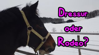 Dressur oder Rodeo 🤪 [upl. by Aivata570]