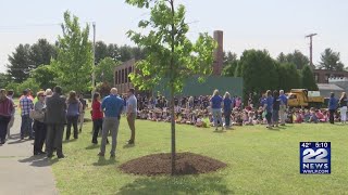 Chicopee celebrates Arbor Day by planting white Oak tree at Rivers Park [upl. by Elleirbag]