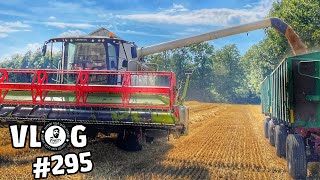 vlog295 Weizen amp Roggen DRESCHEN 🌾 [upl. by Norvil]