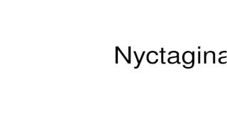 How to pronounce Nyctaginaceae [upl. by Niajneb]