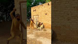 Bimar bap k liy dod chori trending vairalvideo shorts top reels ytshorts [upl. by Phyllis132]