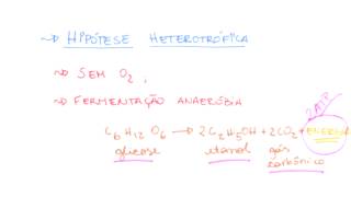 Me Salva OV03  Hipótese heterotrófica [upl. by Idnac766]