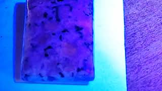 Glowing Florescent Sodalite Under UV Light [upl. by Yoong829]