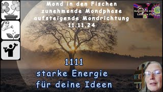 MondTIPP  1111  starke Energie um deine Ideen umzusetzen [upl. by Hnib528]