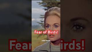 Fear of Birds is real What is Ornithophobia [upl. by Sachsse325]