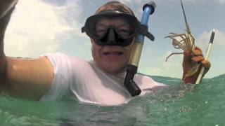 Lobstering in Belize 08 12 1 [upl. by Healy533]