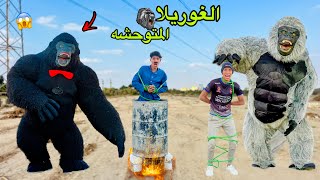 لما غوريلا المتوحشه تهجم عليكم في البيت وتخطف واخوك الصغير  الجزء الثاني 🦍😂 علاء حسين [upl. by Gillette]