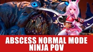 TERA Gameplay  Abscess Normal Mode  Ninja POV [upl. by Bortman]