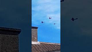 Vintage RED BARON BIPLANES over HAINAULT NICE LOUD SOUND 29624 [upl. by Baalman726]