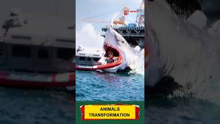 Animal before and after growing up trending animals funnyanimals animaltransformation [upl. by Felipa]