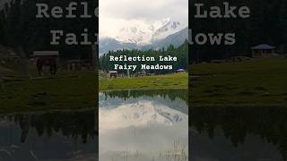 Fairy Meadows fairymeadows killermountain gilgitbaltistan trekking trekkingvlog travel [upl. by Nyledam]