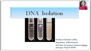 DNA Isolation [upl. by Hoopes]