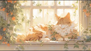 Lofi With My Cat  Cat amp Wonderful Day😽❣️☀️ WorkRelaxHealing  Lofi Mix  Lofi Songs [upl. by Sarah]