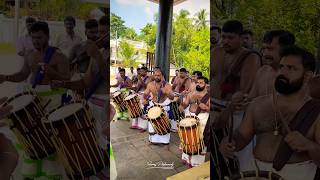 melam viralshort viralshorts 2024 chenda festival pooram viralvideos treding mallu ana [upl. by Georgeta300]