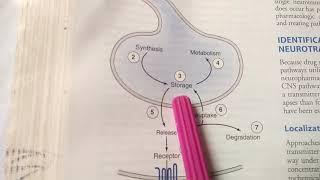 Introduction to CNS Pharmacology Part I [upl. by Bopp]