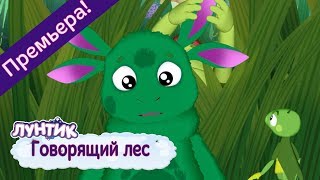 Говорящий лес 🌿 Лунтик 🌲 Новая серия  491  Премьера [upl. by Jaynell]