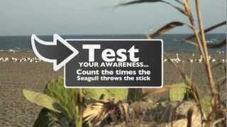 Visual Awareness Test  Are You Ready  Take a Test [upl. by Dilks7]