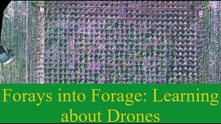 Using QGIS to Segment Orthomosaics and Extract Drone Data [upl. by Anirod30]