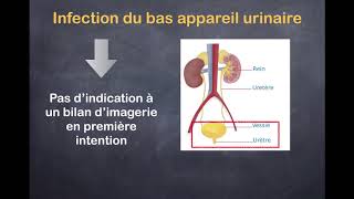 Infections urinaires  1 Quels examens prescrire [upl. by Inajar]