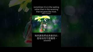 Motivational quotes 勵志格言：Continue in Patience 繼續忍耐 ai [upl. by Kozloski]