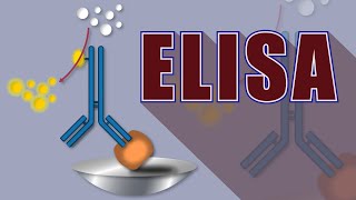 La technique dELISA EnzymeLinked ImmunoSorbent Assay [upl. by Toney]