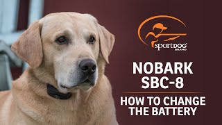 SportDOG® Brand NoBark SBC8 How to change the battery [upl. by Goldsworthy]