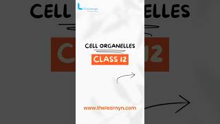 Cell Organelles biology shorts shortsfeed [upl. by Innoc440]