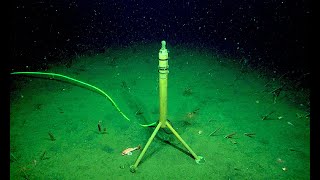 7 Eerie Sounds Recorded in the Deep Ocean [upl. by Gonick]